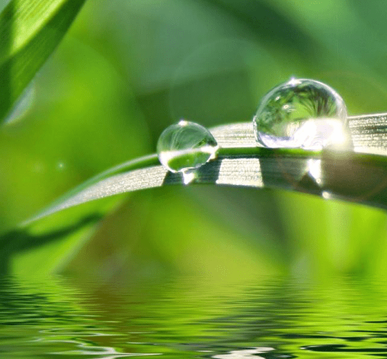 堅持可持續(xù)發(fā)展戰(zhàn)略